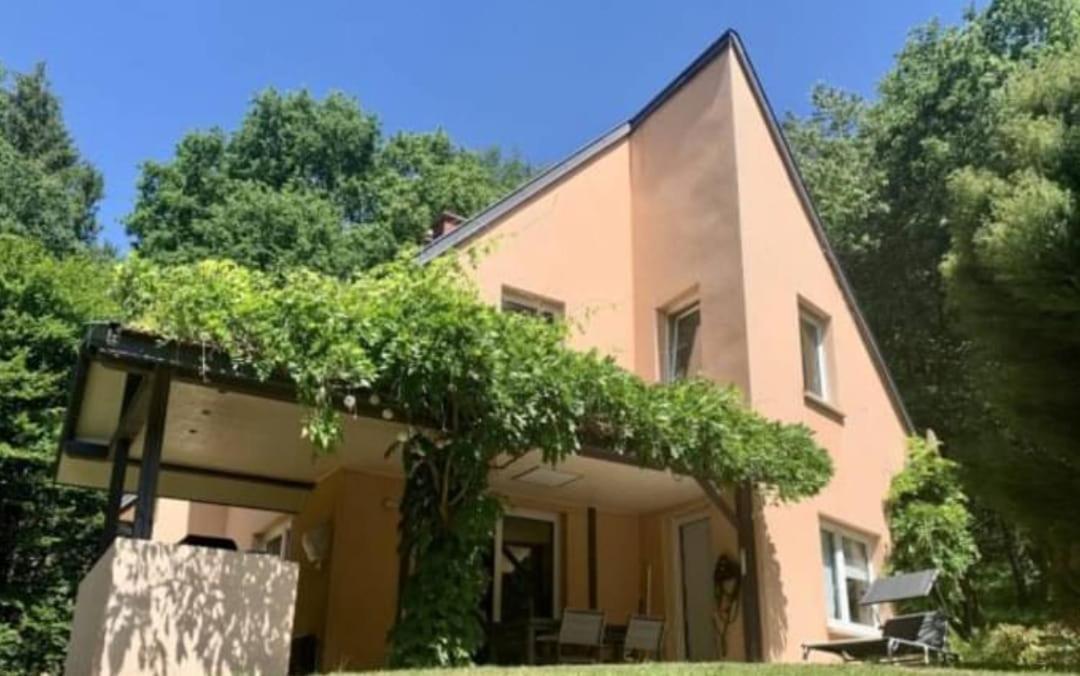 La Fontaine Aux Enfants - Gr5 - Chambre Avec Sdb Privee Abreschviller Buitenkant foto
