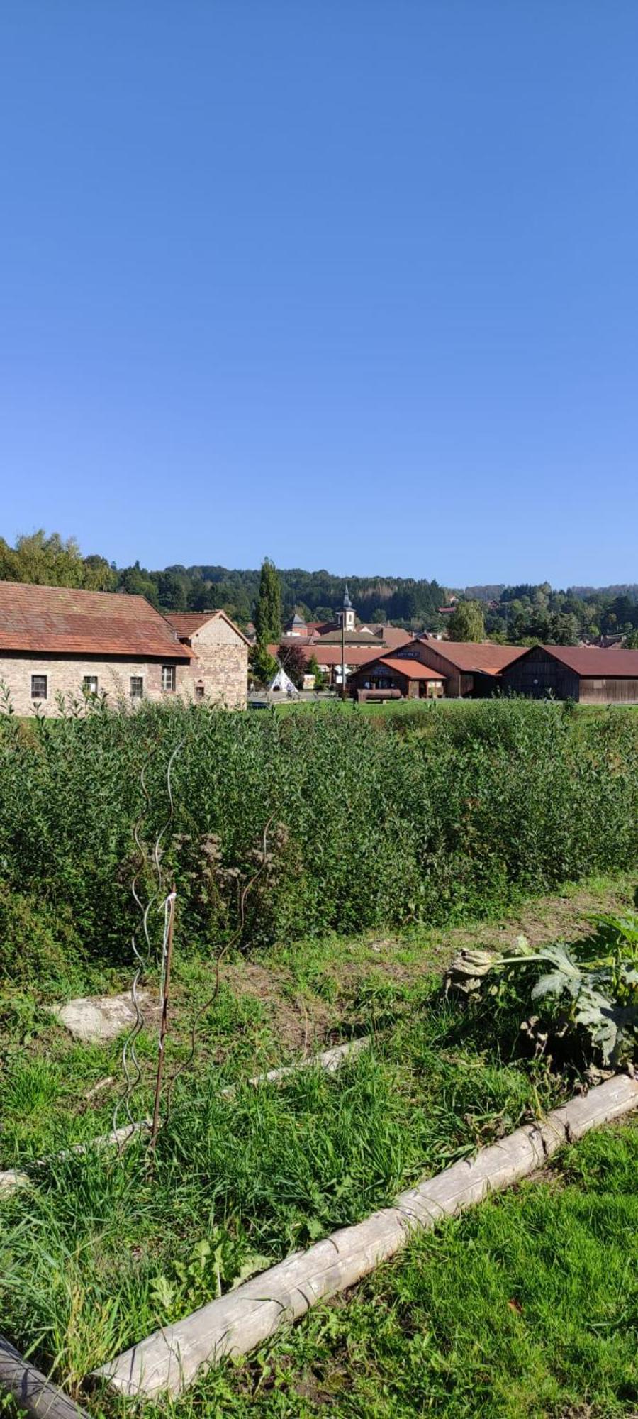 La Fontaine Aux Enfants - Gr5 - Chambre Avec Sdb Privee Abreschviller Buitenkant foto